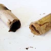 Roztržená výmetnice